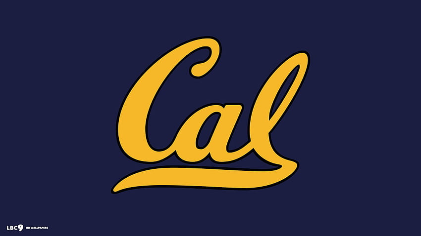 Cal Golden Bears Price Compare 1024Ã576 California Golden Bears (25 ) | Adorable | | Pinterest | ... HD wallpaper